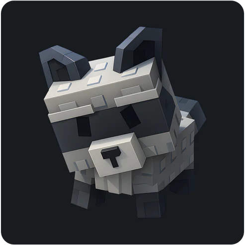 Raccoon